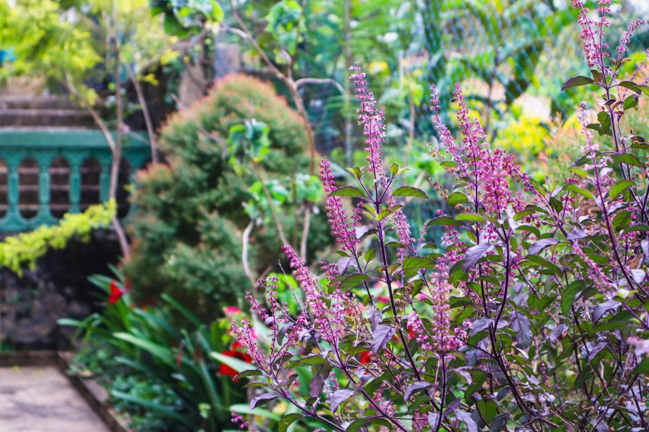 Sitha'S Heaven Bed & Breakfast Ella Bagian luar foto